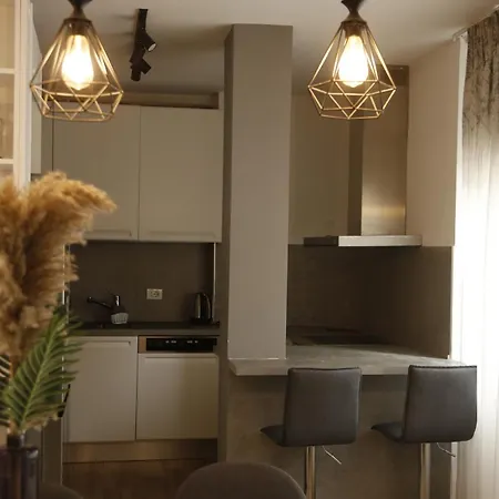 Apartament Albi *