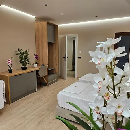Albi Apartament *